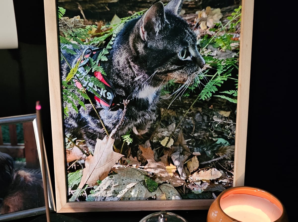 Closing 12 years of love and joy