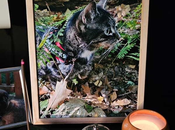 Closing 12 years of love and joy