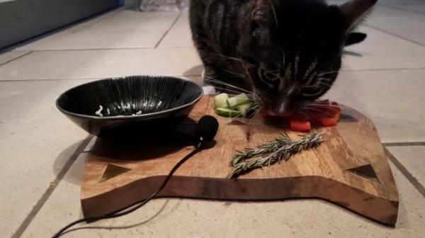 Veggie Snack for Goku